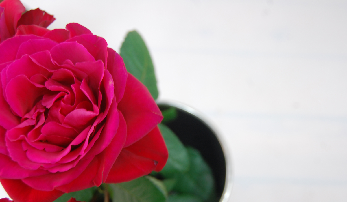 福井駅から徒歩5分の楽しくておしゃれなお花屋さん 花の店フルールホリ